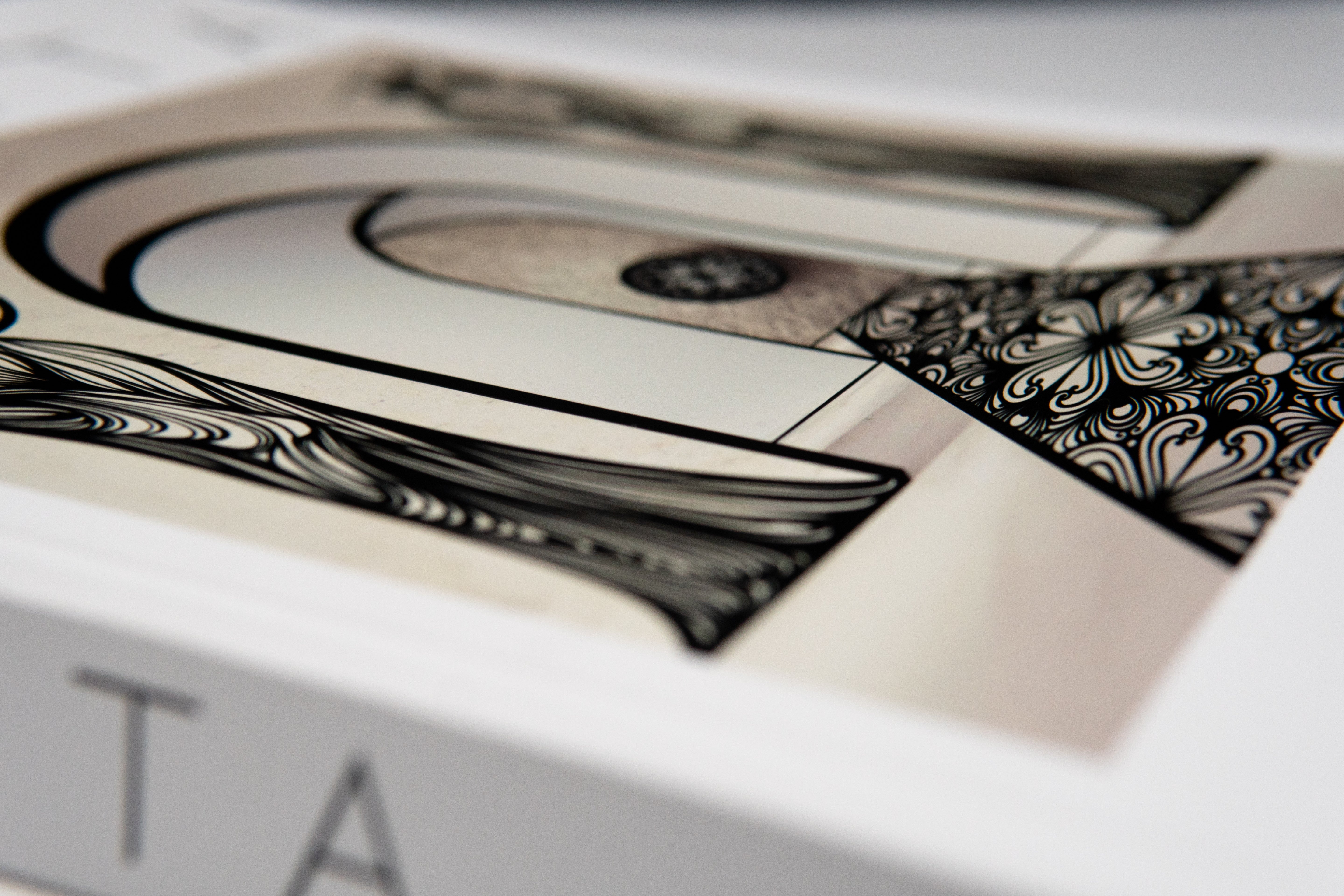 House of Vanta | Skin to Steel – Collector’s Edition