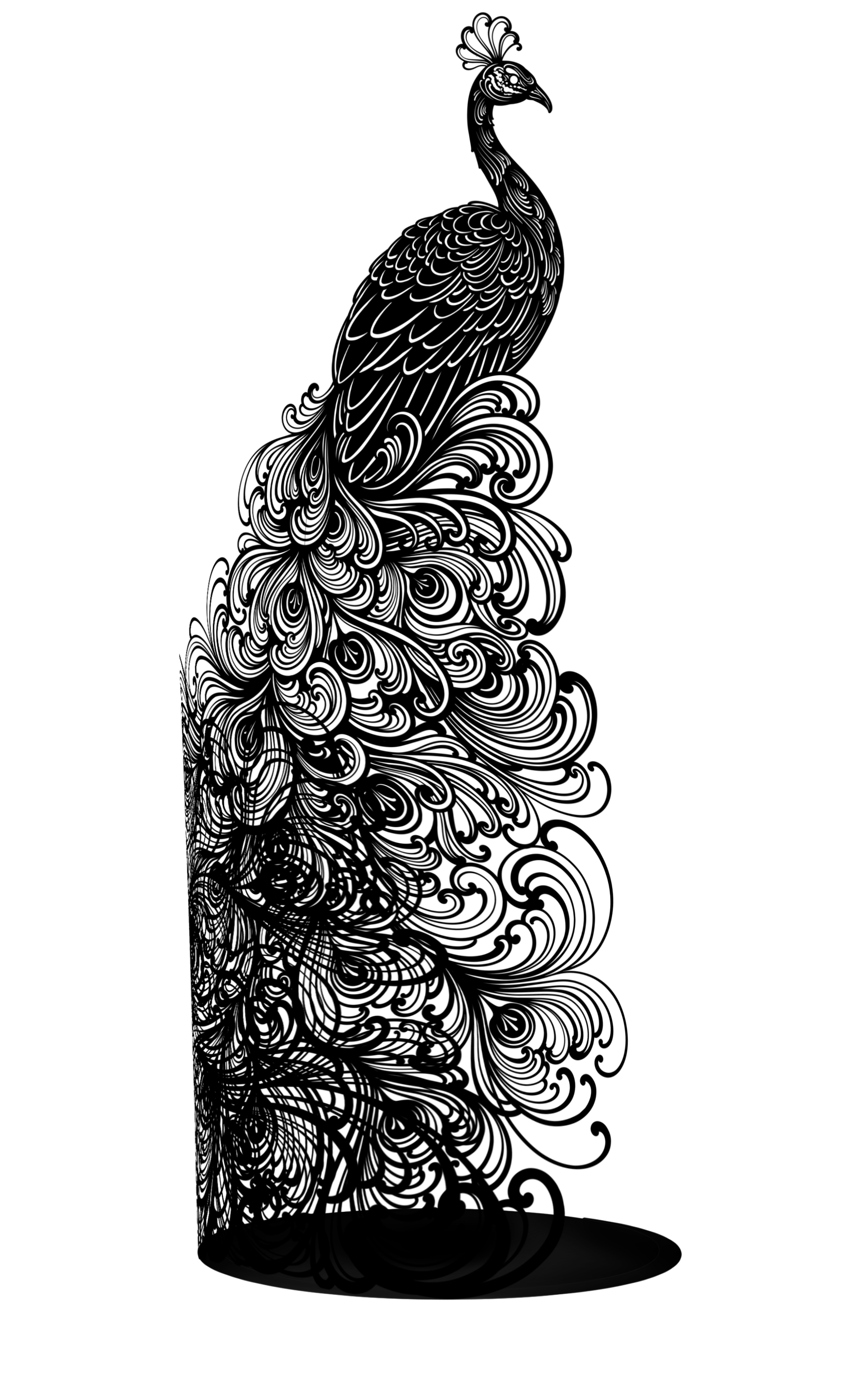 Peacock Sculpture – Signature Statement